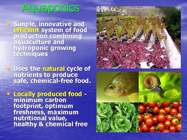 Aquaponics • Simple, innovative and efficient system of food production combining aquaculture and hydroponic