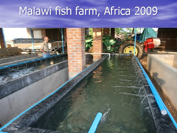 Malawi fish farm, Africa 2009 