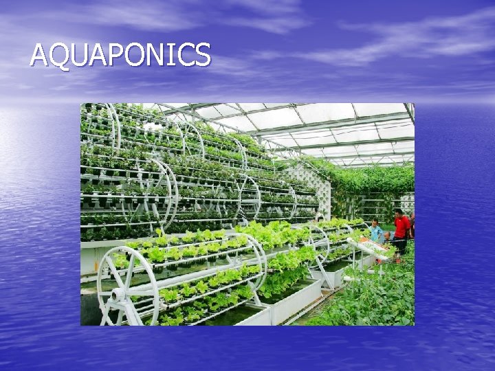 AQUAPONICS 