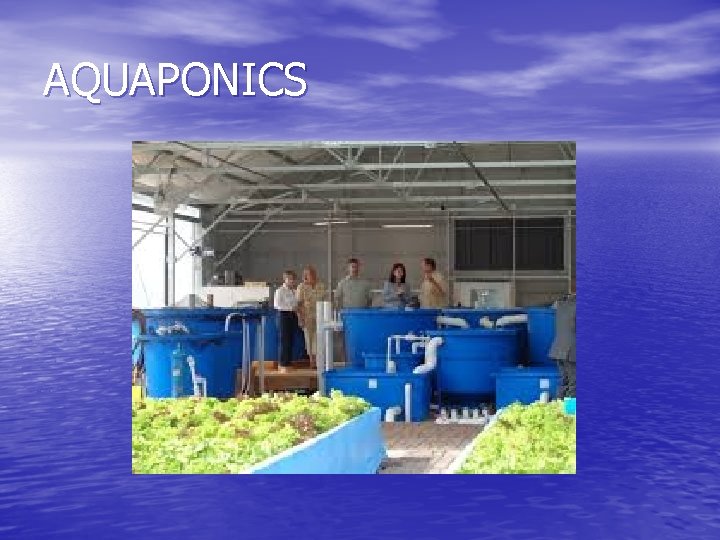 AQUAPONICS 