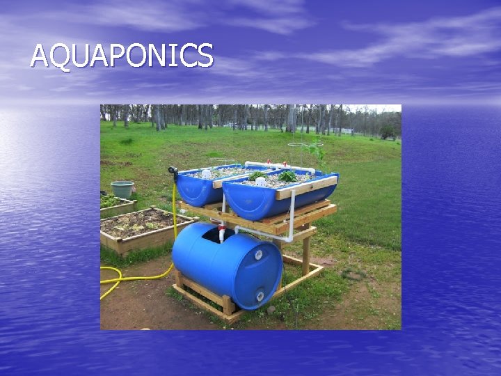 AQUAPONICS 