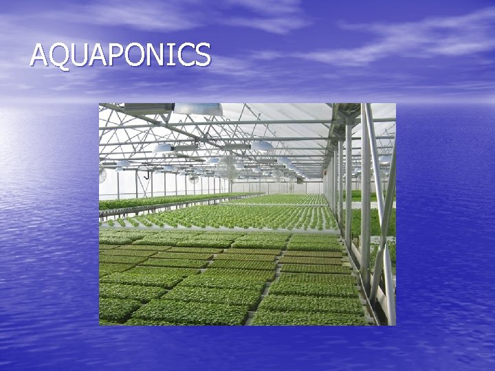AQUAPONICS 