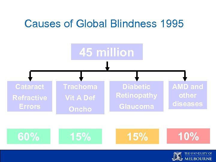 Causes of Global Blindness 1995 45 million Cataract Trachoma Refractive Errors Vit A Def