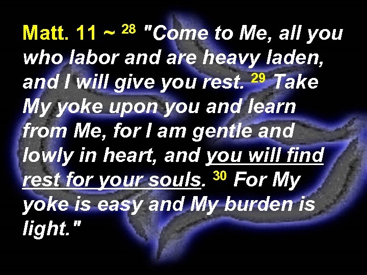 Matt. 11 ~ 28 