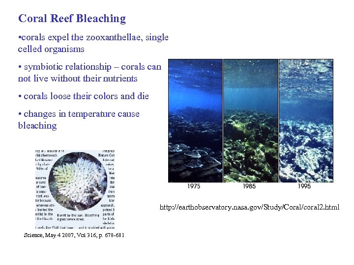 Coral Reef Bleaching • corals expel the zooxanthellae, single celled organisms • symbiotic relationship