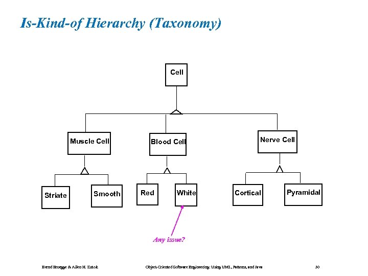 Is-Kind-of Hierarchy (Taxonomy) Cell Muscle Cell Striate Smooth Blood Cell Red White Nerve Cell