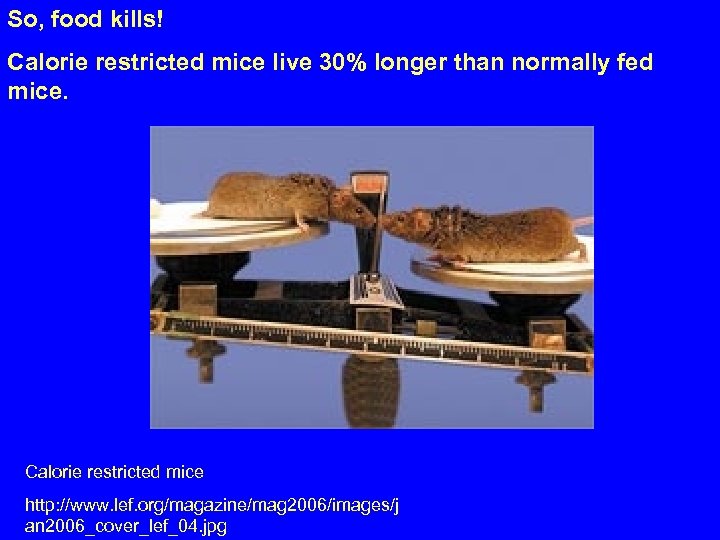So, food kills! Calorie restricted mice live 30% longer than normally fed mice. Calorie