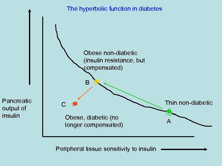 The hyperbolic function in diabetes Obese non-diabetic (insulin resistance, but compensated) B Pancreatic output