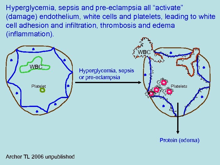Hyperglycemia, sepsis and pre-eclampsia all “activate” (damage) endothelium, white cells and platelets, leading to