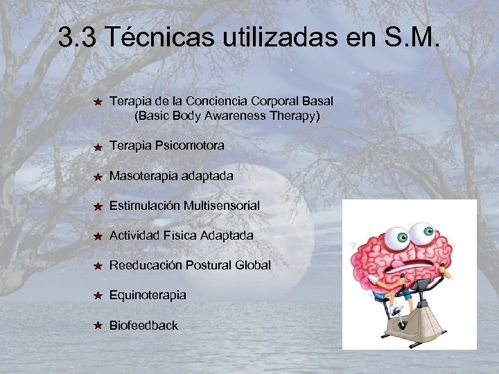 3. 3 Técnicas utilizadas en S. M. Terapia de la Conciencia Corporal Basal (Basic