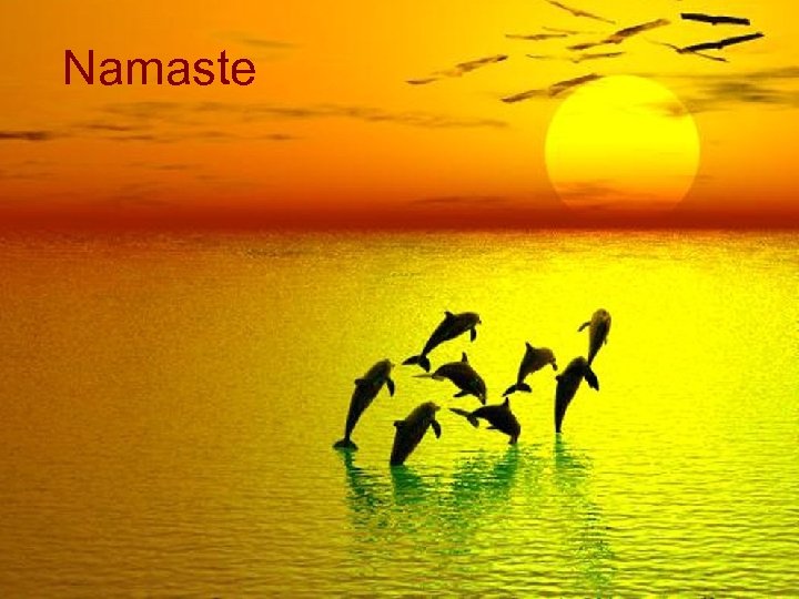 Namaste 