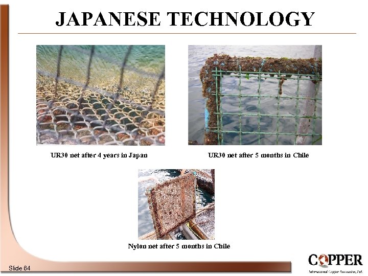 JAPANESE TECHNOLOGY UR 30 net after 4 years in Japan UR 30 net after