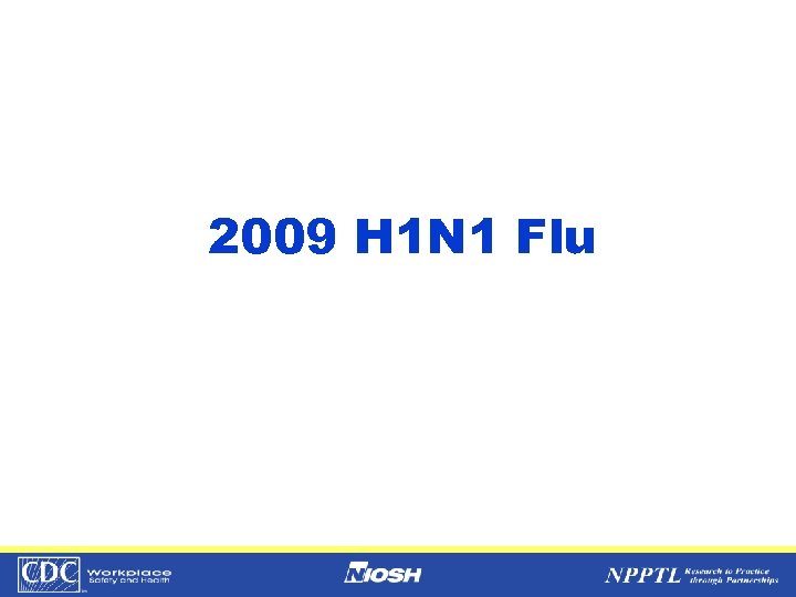 2009 H 1 N 1 Flu 