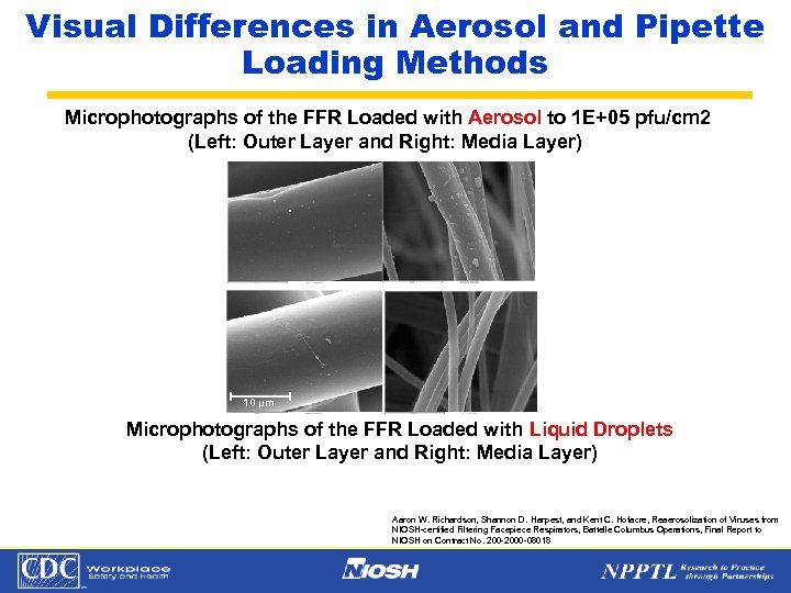 Visual Differences in Aerosol and Pipette Loading Methods Microphotographs of the FFR Loaded with