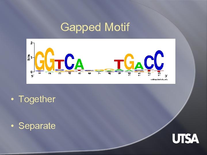 Gapped Motif • Together • Separate 