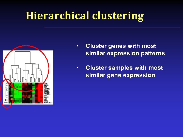 Hierarchical clustering • Cluster genes with most similar expression patterns • Cluster samples with