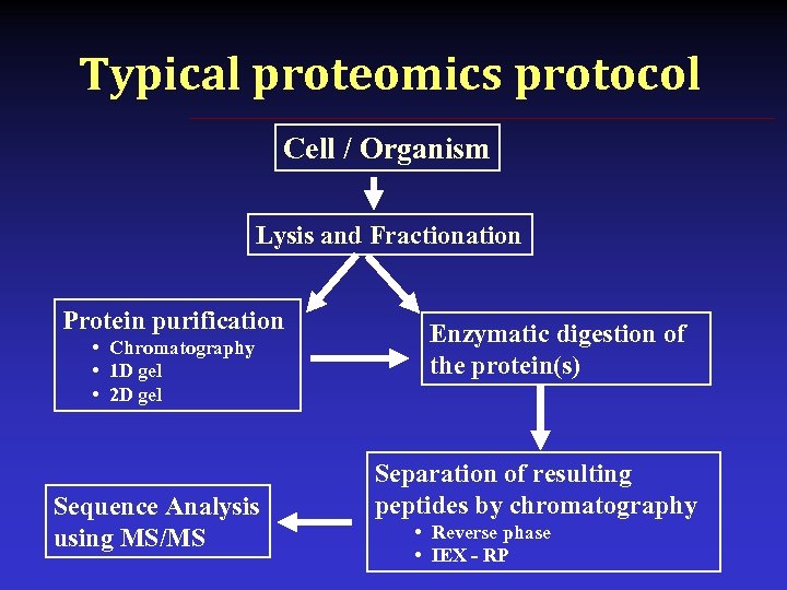 Typical proteomics protocol Cell / Organism Lysis and Fractionation Protein purification • Chromatography •