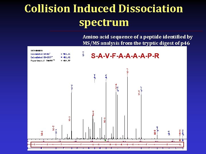 Collision Induced Dissociation spectrum Amino acid sequence of a peptide identified by MS/MS analysis