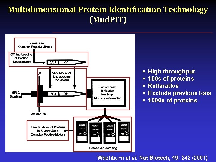 Multidimensional Protein Identification Technology (Mud. PIT) § § § High throughput 100 s of