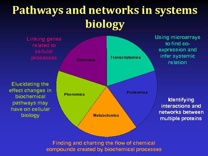 Pathways and networks in systems biology Linking genes related to cellular processes Elucidating the