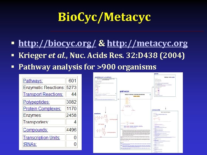 Bio. Cyc/Metacyc § http: //biocyc. org/ & http: //metacyc. org § Krieger et al.