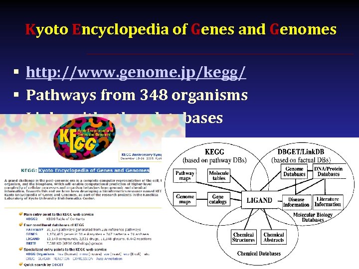 Kyoto Encyclopedia of Genes and Genomes § http: //www. genome. jp/kegg/ § Pathways from