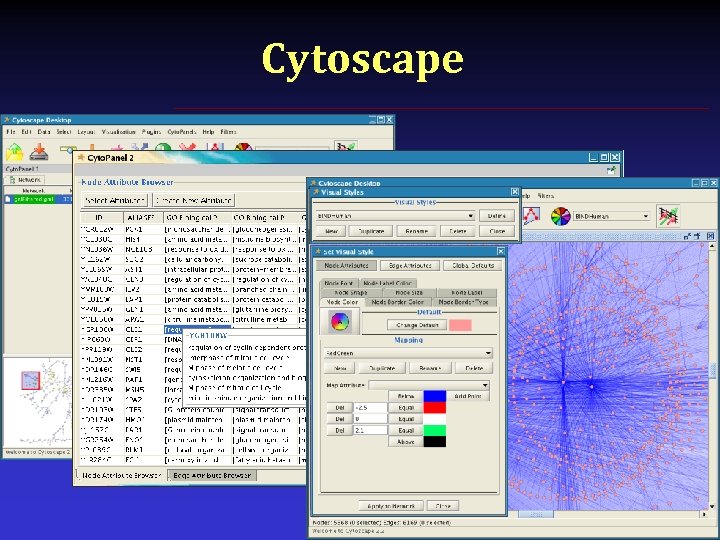 Cytoscape 