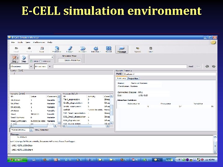 E-CELL simulation environment 