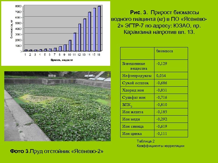 Рис. 3. Прирост биомассы водного гиацинта (кг) в ПО «Ясенево 2» ЭГТР-7 по адресу: