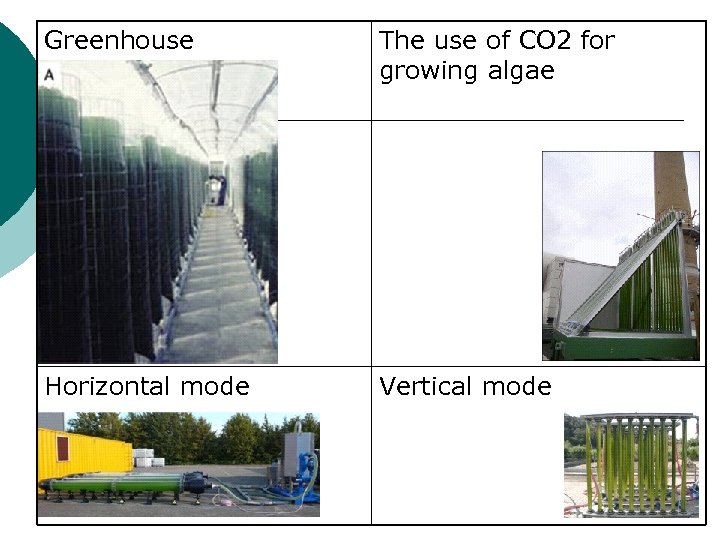 Greenhouse The use of CO 2 for growing algae Horizontal mode Vertical mode 