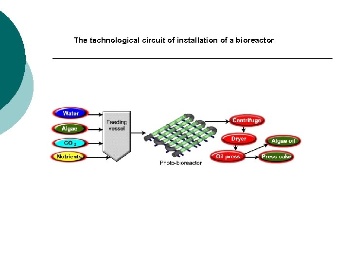 The technological circuit of installation of a bioreactor 