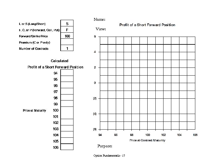 Name: View: Purpose: Option Fundamentals - 17 