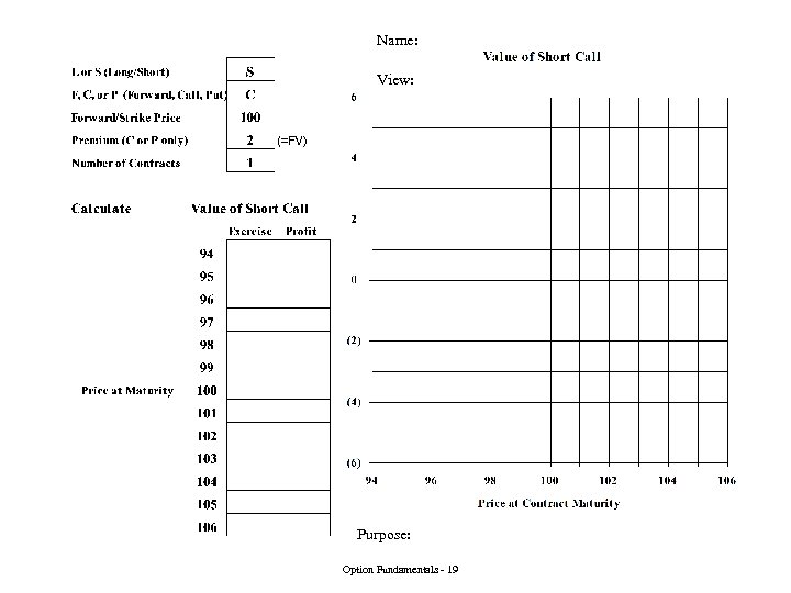 Name: View: Purpose: Option Fundamentals - 19 
