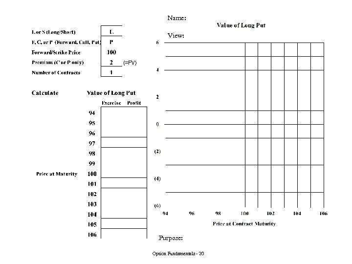 Name: View: Purpose: Option Fundamentals - 20 
