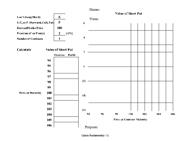 Name: View: Purpose: Option Fundamentals - 21 