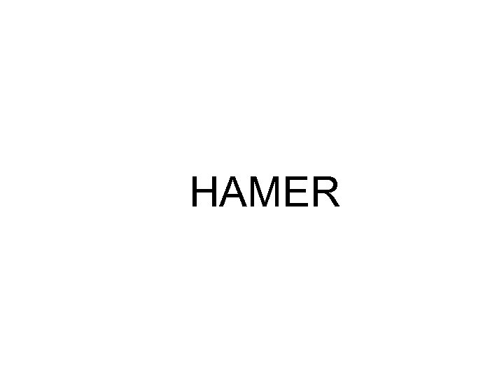 HAMER 