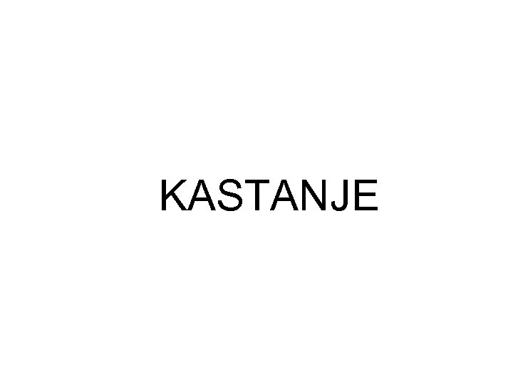 KASTANJE 