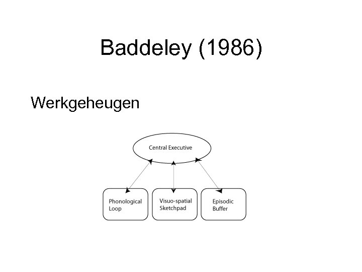 Baddeley (1986) Werkgeheugen 