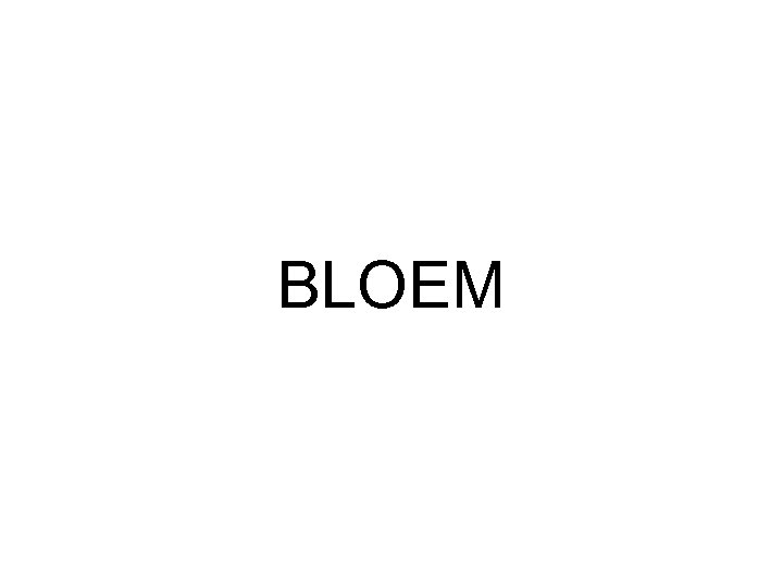 BLOEM 