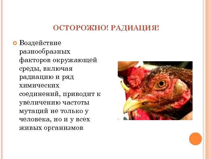ОСТОРОЖНО! РАДИАЦИЯ! Воздействие разнообразных факторов окружающей среды, включая радиацию и ряд химических соединений, приводит