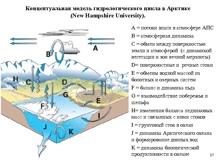 Концептуальная модель гидрологического цикла в Арктике (New Hampshire University). A = потоки влаги в