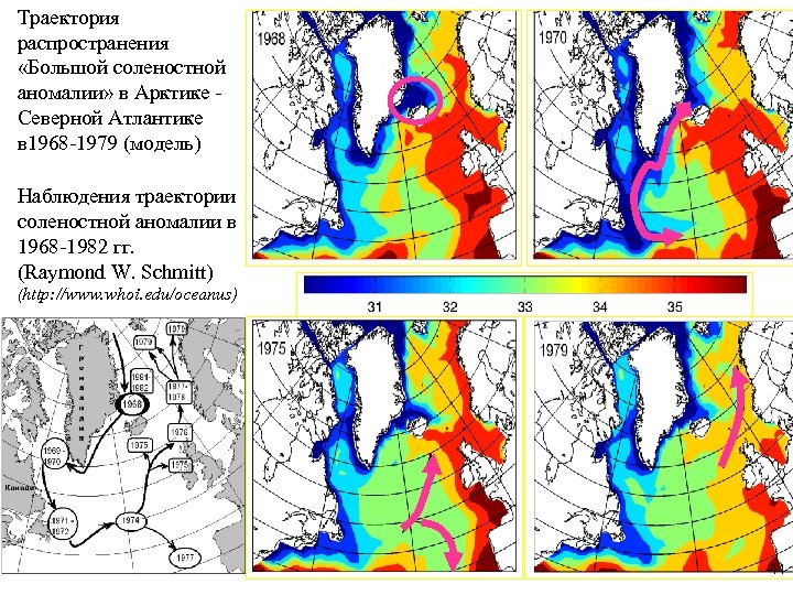 Траектория распространения «Большой соленостной аномалии» в Арктике Северной Атлантике в 1968 -1979 (модель) Наблюдения