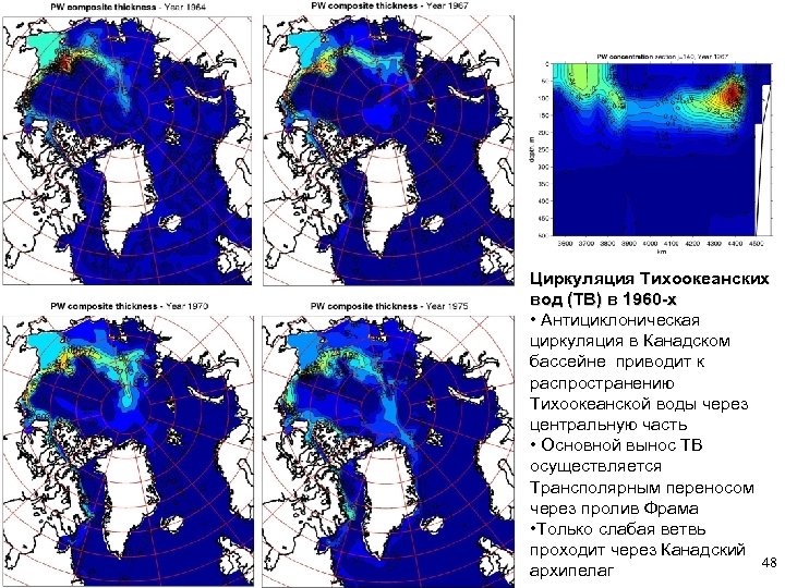 Циркуляция Тихоокеанских вод (ТВ) в 1960 -х • Антициклоническая циркуляция в Канадском бассейне приводит