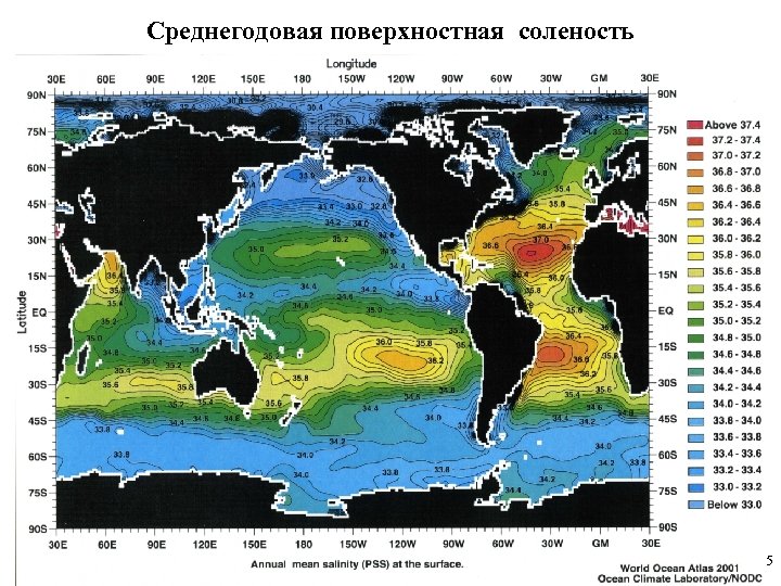 Среднегодовая поверхностная соленость 5 