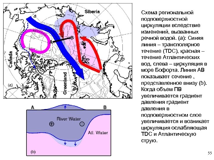 Красный течение