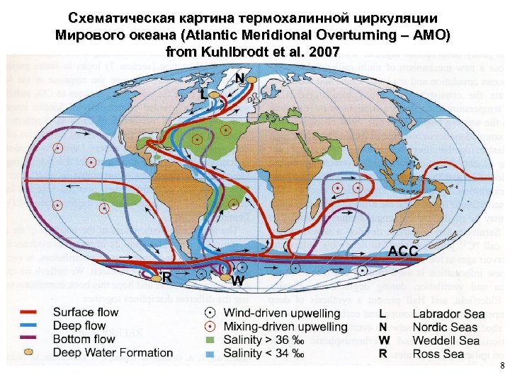 Схематическая картина термохалинной циркуляции Мирового океана (Atlantic Meridional Overturning – AMO) from Kuhlbrodt et