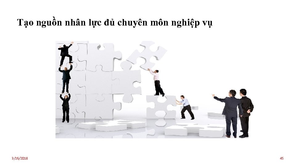 Tạo nguồn nhân lực đủ chuyên môn nghiệp vụ 3/16/2018 45 