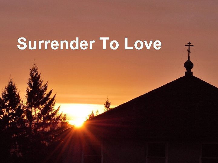 Surrender To Love 