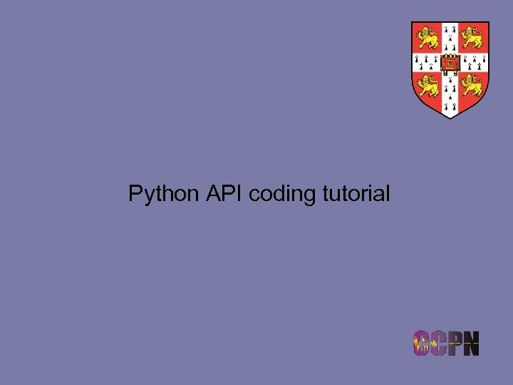 Python API coding tutorial 