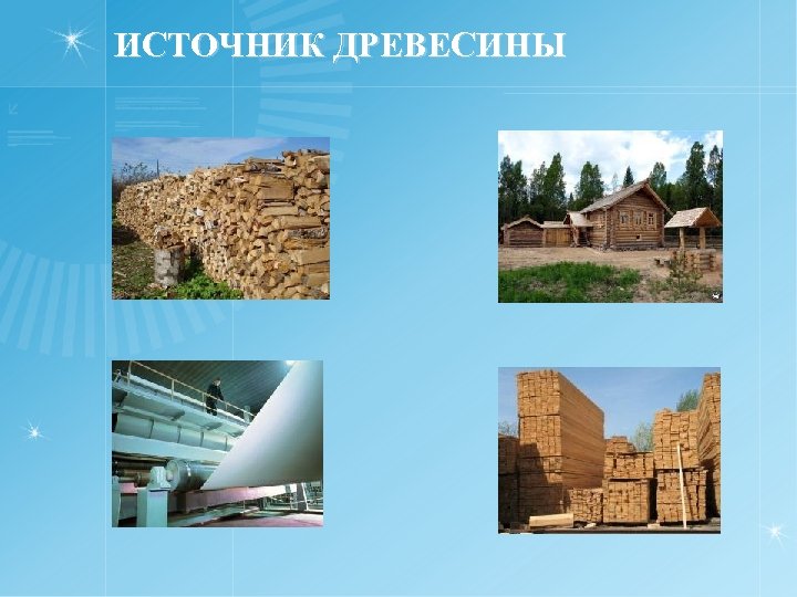 ИСТОЧНИК ДРЕВЕСИНЫ 